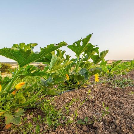 Appartamento Coltura Termoli Esterno foto