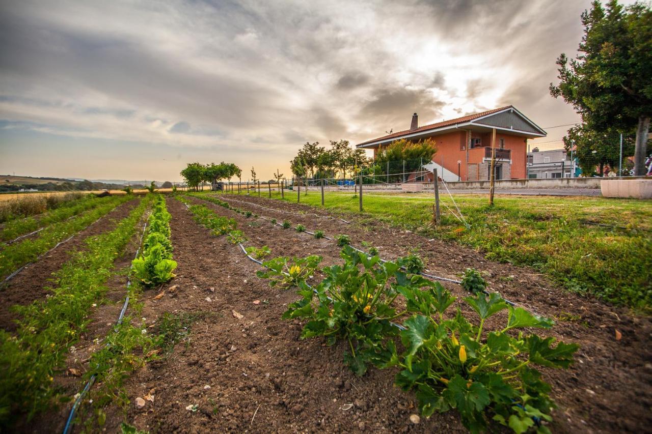 Appartamento Coltura Termoli Esterno foto